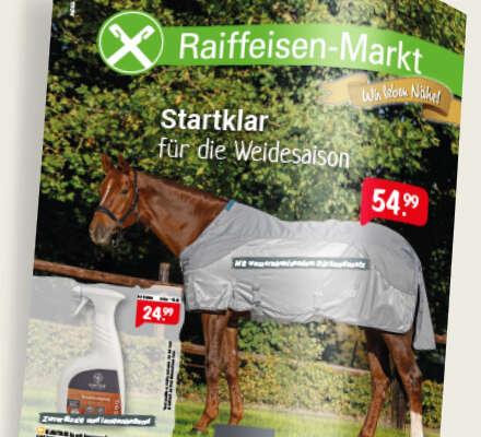 Reiter prospekt beige